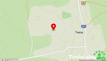 Teslui - Teslui