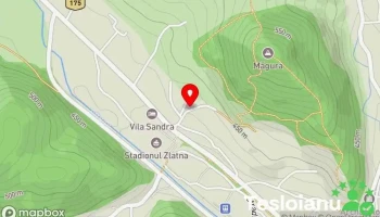 Tică Vulcanizare/ Tractări Zlatna/ Echilibrare roti Autoturisme si Camioane - Zlatna 516100