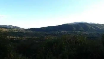 Titești - Titești
