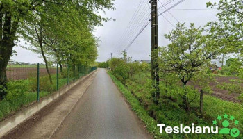 Todiresti Suceava - Todirești