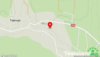 Todirești - Todirești