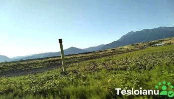 Tohanu Nou - Romania