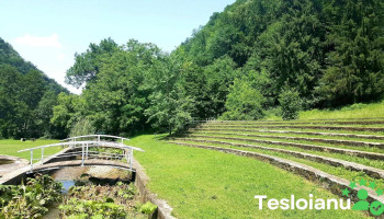 Tomești - Tomești