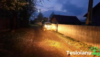 Topile - Topile