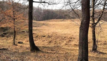 Topliceni - Topliceni