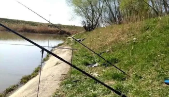 Topolovățu Mic - Topolovățu Mic