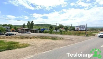 TopZone - Răducăneni 707400