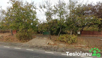 Tractări auto Claudiu - Valea Călugărească