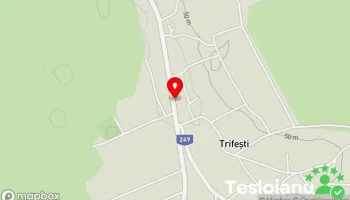 Trifești - Trifești
