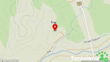 Trip - Trip