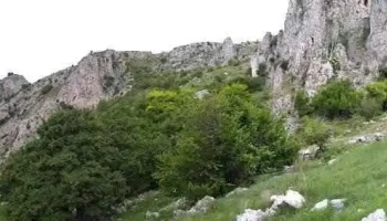 Tureni - Tureni