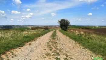 Tăblășeni - Tăblășeni