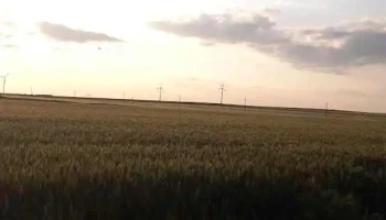 Tărguşor - Tărguşor