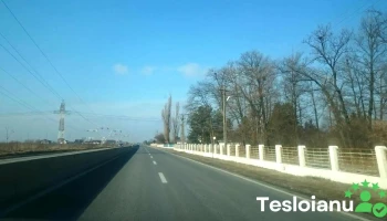 Tărtășești - Tărtășești