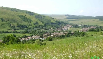 Tătârlaua - Tătârlaua