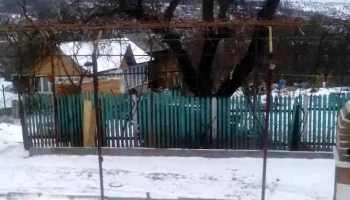 Tătăruși - Tătăruși