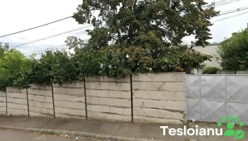 Ulei Filtre - Botoșani 710365