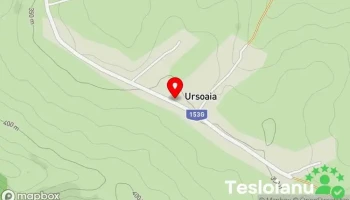 Ursoaia - Ursoaia