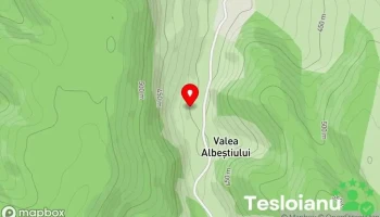 Valea Albeștiului - Valea Albeștiului