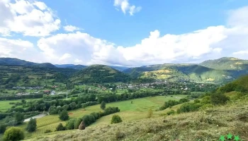 Valea Lupșii - Valea Lupșii
