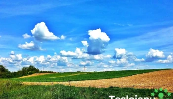 Valea Mare - Valea Mare