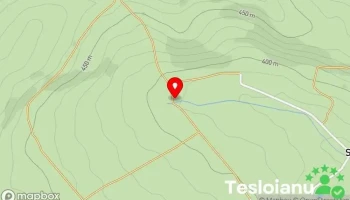 Valea Sânmartinului - Valea Sânmartinului