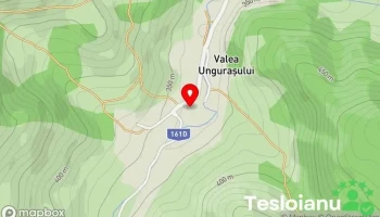Valea Unguraşului - Valea Unguraşului