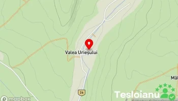 Valea Urieşului - Valea Urieşului