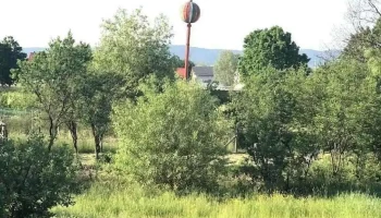 Valea Vinului - Valea Vinului