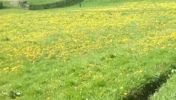 Vața de Sus - Vața De Sus