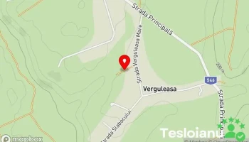 Verguleasa - Verguleasa