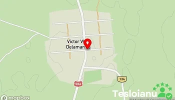 Victor Vlad Delamarina - Victor Vlad Delamarina