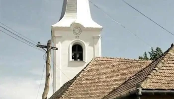 Viforoasa - Viforoasa