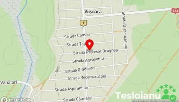 Viișoara - Viișoara