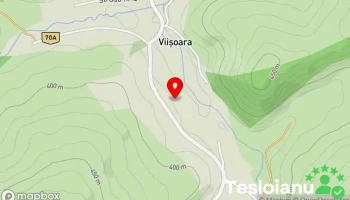 Viișoara - Viișoara