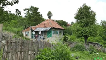 Viperești - Viperești