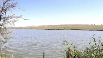 Vitănești - Vitănești
