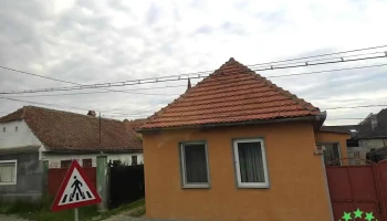 Vlădeni - Vlădeni
