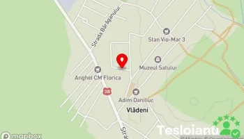 Vlădeni - Vlădeni