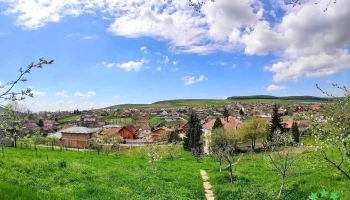 Voiniceni - Voiniceni