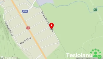 Vopsitorie Auto Racaciuni, Bacau - Servicii Tinichigerie si Vopsitorie Auto Duma Gică - Răcăciuni 607480