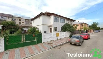 Vulcanizare Pfa Vilea Sabin - Scornicești 235600