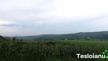 Vultureni - Vultureni