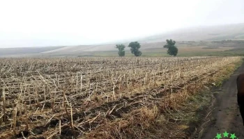 Vutcani - Vutcani