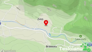 Zimţi - Zimţi