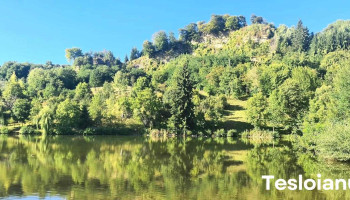 Zona carstică Măgura - Nucșoara