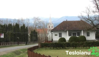 Zăbala - Zăbala