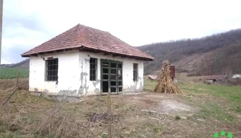 Şăuşa - Şăuşa