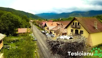Șinca Nouă - Șinca Nouă