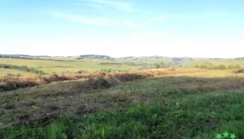 Șoarș - Șoarș
